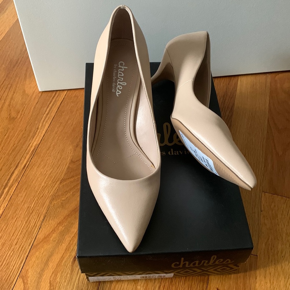 Charles David nude heels